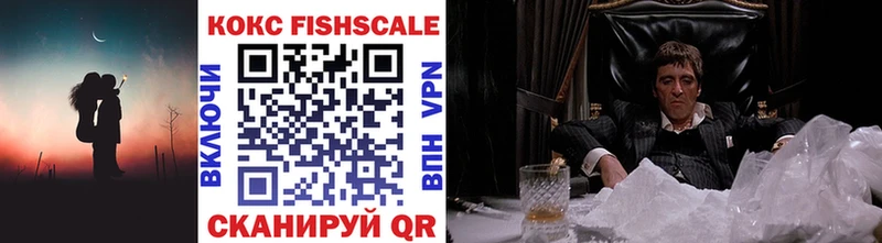 даркнет сайт  Николаевск  omg онион  COCAIN Fish Scale 