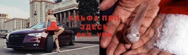 гашик Арсеньев