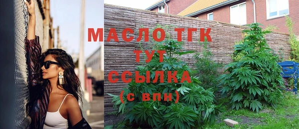 гашик Арсеньев
