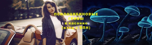 герыч Аркадак