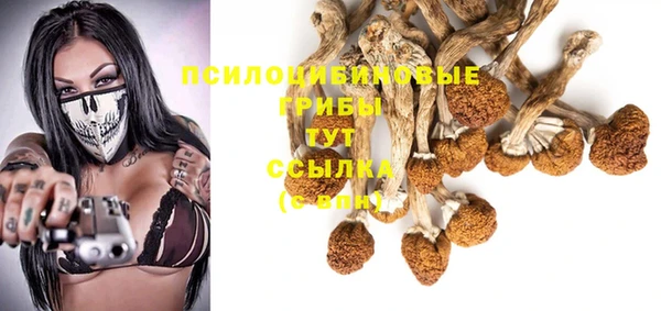 тгк Армянск